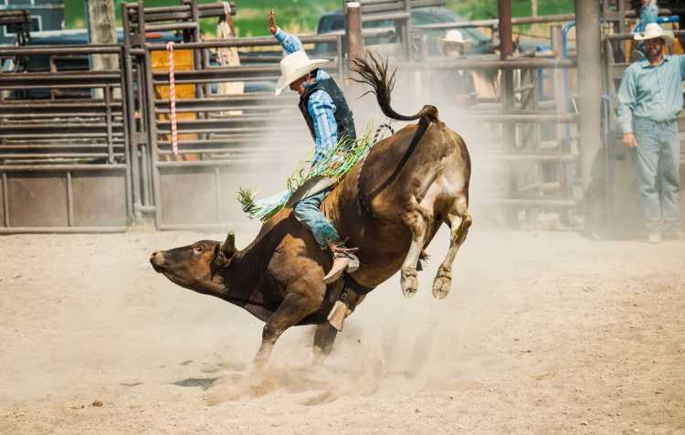 Gilroy-Rodeo Gilroy Rodeo