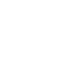 Animal Tours