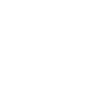 Bus Tours
