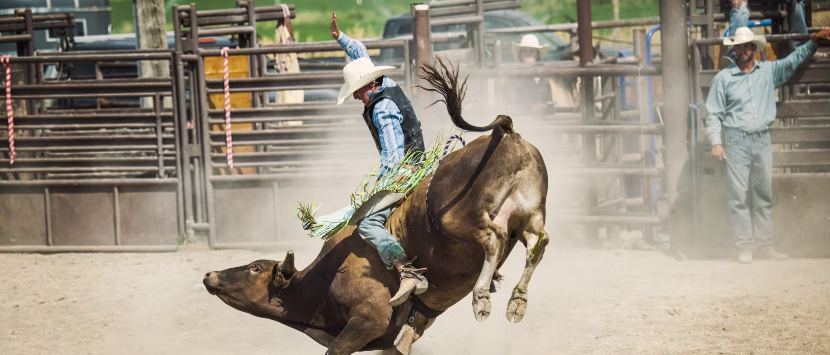 Our Unique Offerings: Empowering Rodeos Every Step of the Way Our Unique Offerings: Empowering Rodeos Every Step of the Way