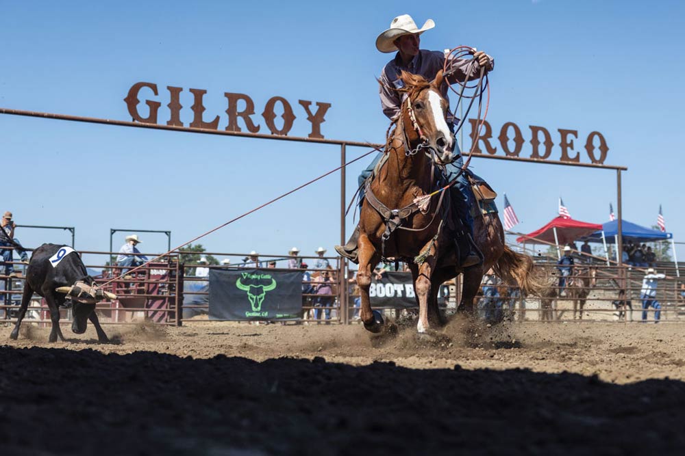Discover the Excitement of the Gilroy Rodeo and the Charm of Gilroy, California
